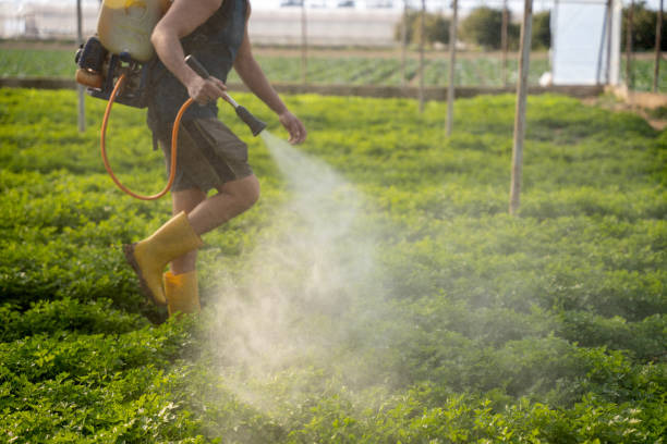 Best Pest Control for Restaurants  in Middletown, CT