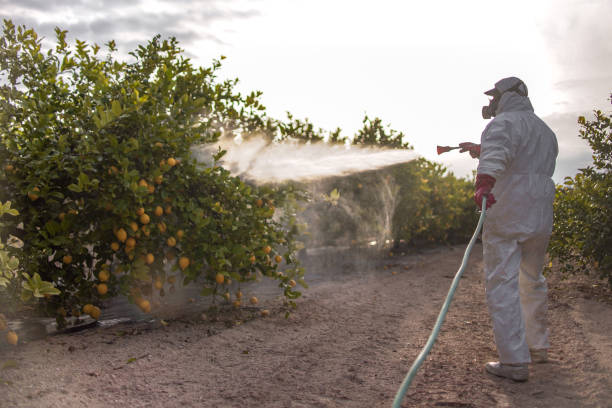 Best Ant Control Services  in Middletown, CT