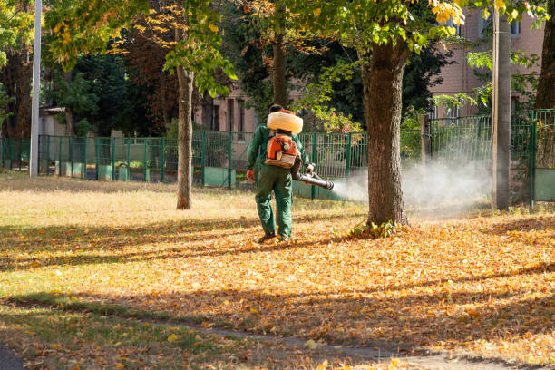 Wildlife Control Services in Middletown, CT
