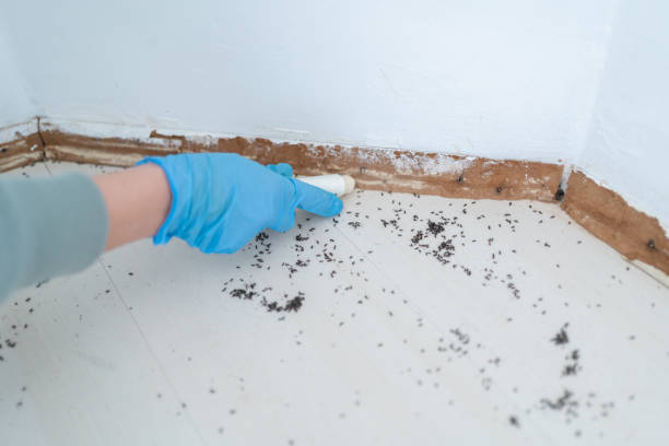 Best Pest Removal Services  in Middletown, CT